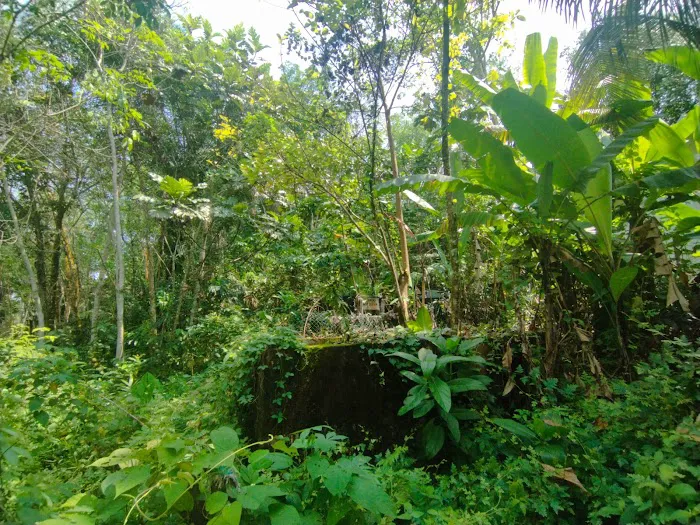 Dewan Kampung orang asli hulu kuang Selangor Picture 8