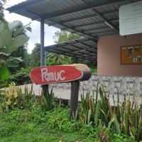 Centre Point PAMUC ico