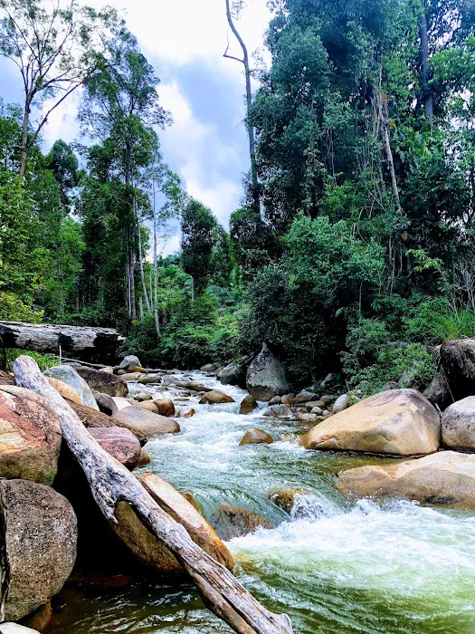 Pusat Kembara Dan Rekreasi Sungai Rengat Picture 4