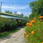 Bukit Guling Ayam