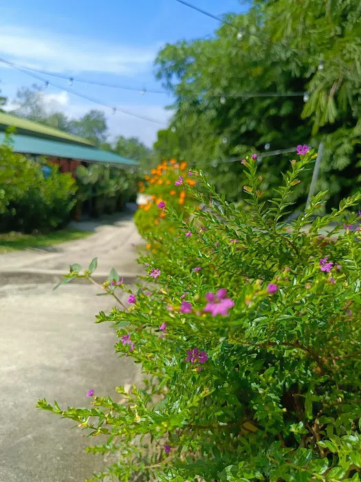 Bukit Guling Ayam Picture 6