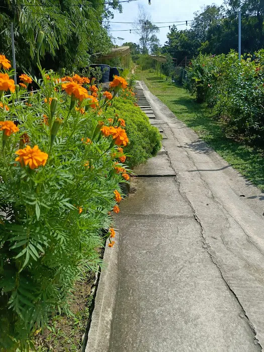 Bukit Guling Ayam Picture 4