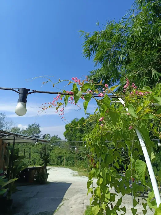 Bukit Guling Ayam Picture 8