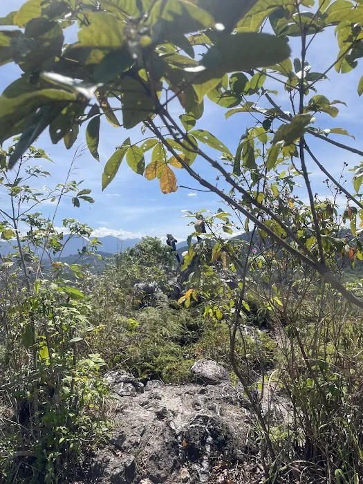 Bukit Guling Ayam Trailhead Picture 5