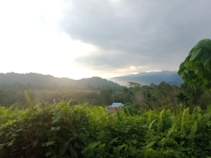 KG OA KUALA TERBOL Picture 8