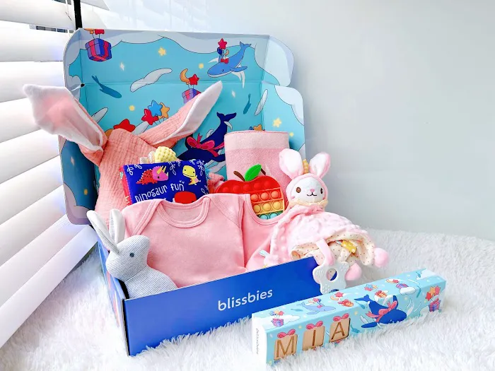 Blissbies MY - Newborn baby gift sets & baby hampers Picture 3