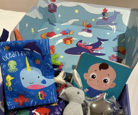Blissbies MY - Newborn baby gift sets & baby hampers