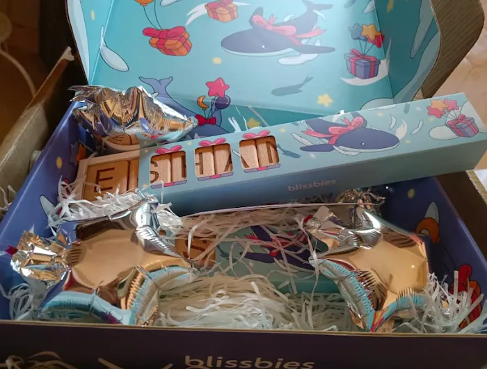 Blissbies MY - Newborn baby gift sets & baby hampers Picture 6