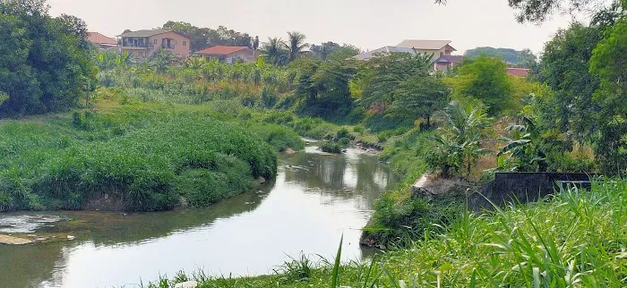 Kuala Pelampas- Damansara Picture 3