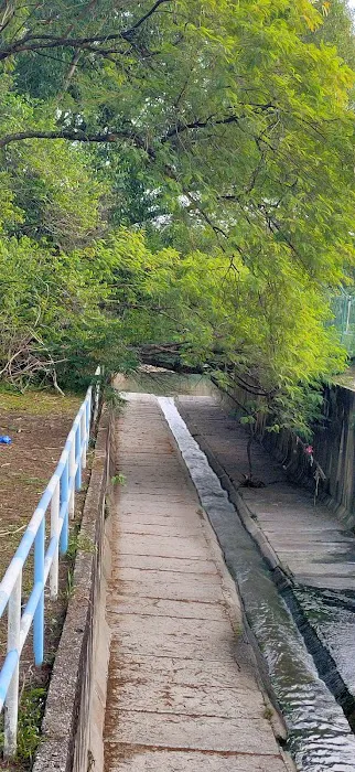 Kuala Pelampas- Damansara Picture 7