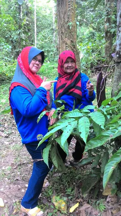 Hutan Lipur Ulu Jeransang Picture 1