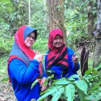 Hutan Lipur Ulu Jeransang ico