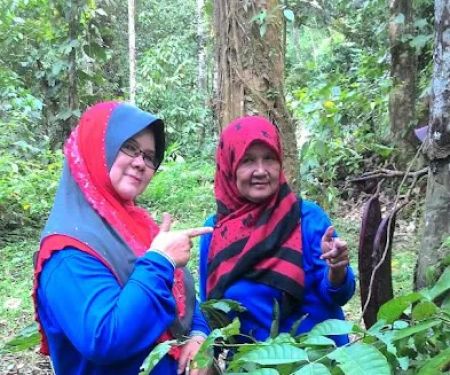 Hutan Lipur Ulu Jeransang