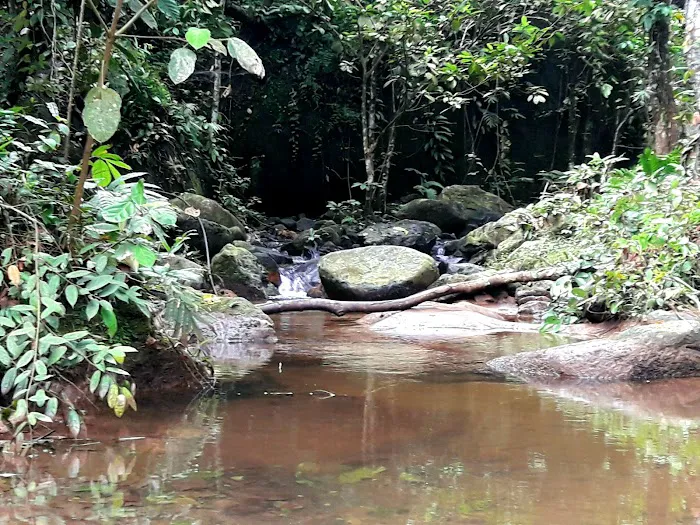 Hutan Lipur Ulu Jeransang Picture 7
