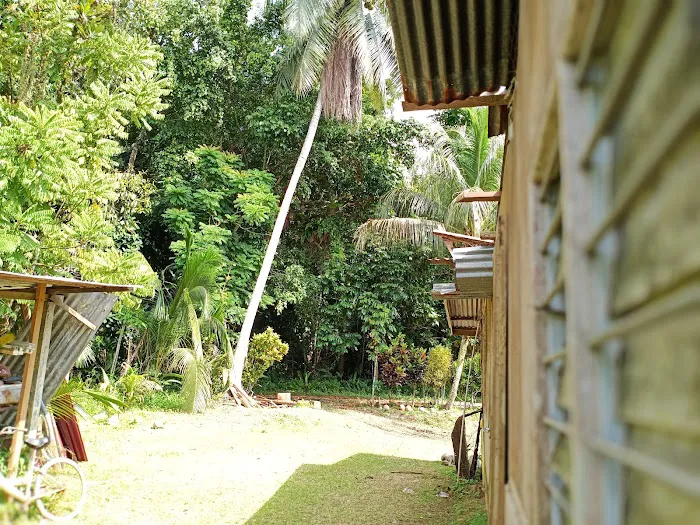 Hutan Lipur Ulu Jeransang Picture 10