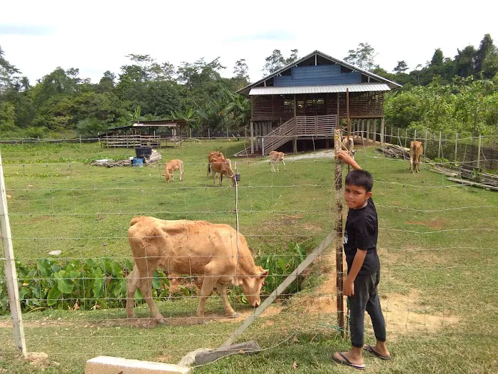 Hutan Lipur Ulu Jeransang Picture 6