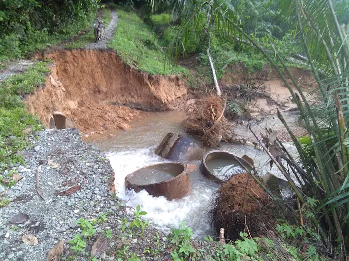 Hutan Lipur Ulu Jeransang Picture 2