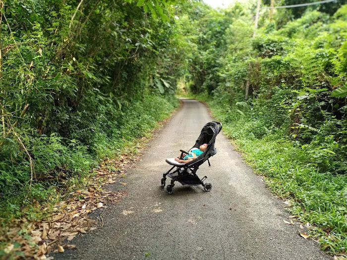 Hutan Lipur Ulu Jeransang Picture 4