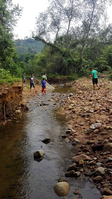 Hutan Lipur Ulu Jeransang Picture 3