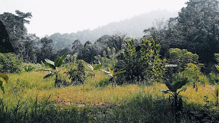 Kawasan perkelahan Batu Gajah Picture 8