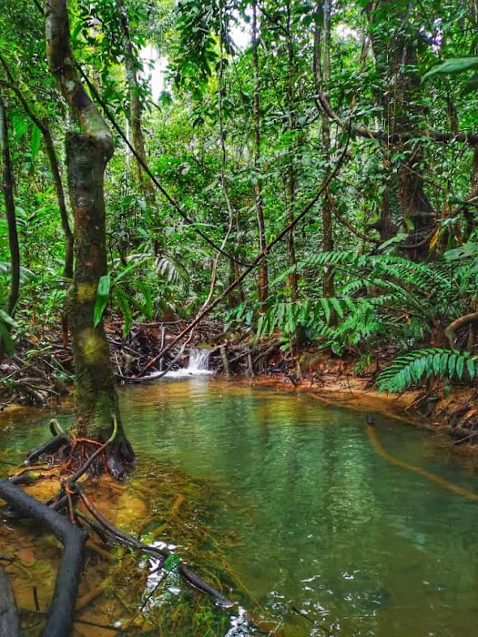 Kawasan perkelahan Batu Gajah Picture 4