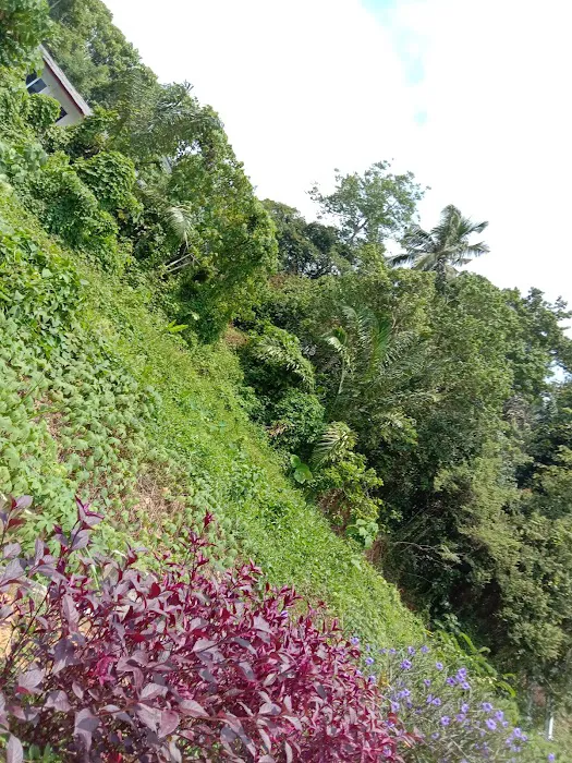 Taman Awam Kuala Lipis Picture 9