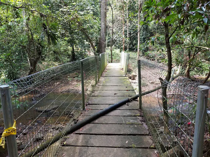 Lata Meraung Picture 9