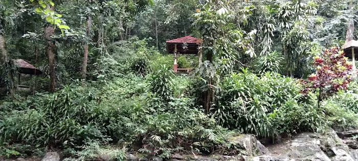 Lata Meraung Picture 3