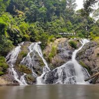 Lata Meraung ico