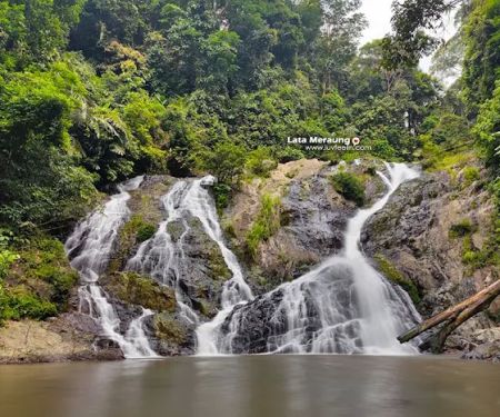 Lata Meraung