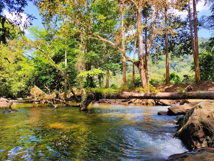 Lata Meraung Picture 7