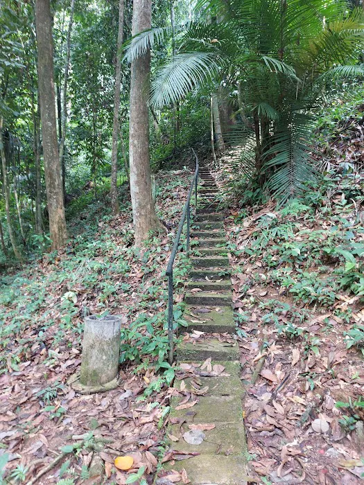 Lata Meraung Picture 8