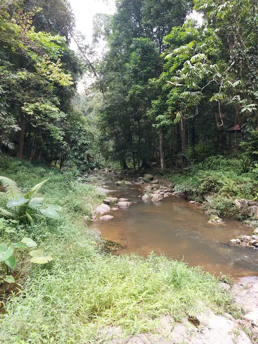 Lata Meraung Picture 5