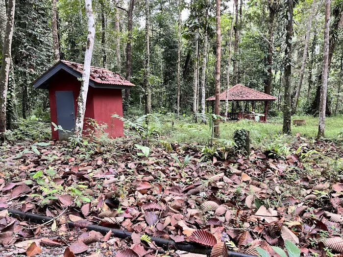 Lata Meraung Picture 4