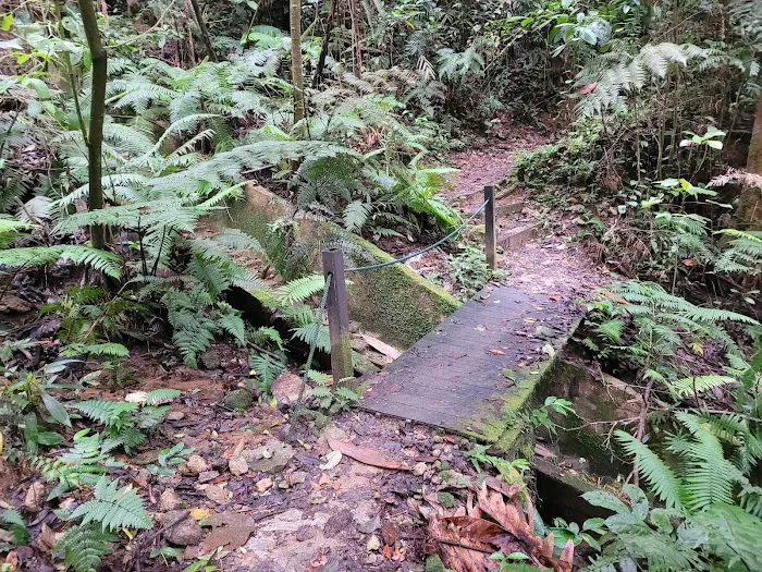 HEMMANT TRAIL Picture 1