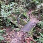 HEMMANT TRAIL