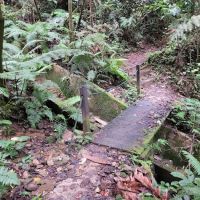 HEMMANT TRAIL ico
