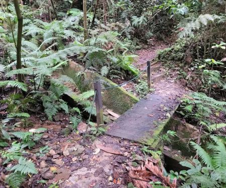 HEMMANT TRAIL