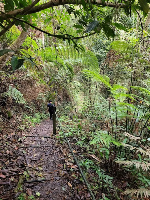 HEMMANT TRAIL Picture 3