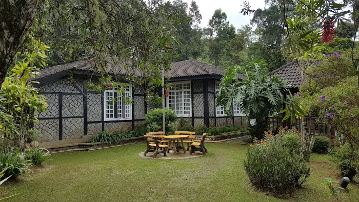 Rompin Trail Picture 6