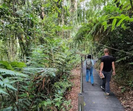 Hemmant Trail