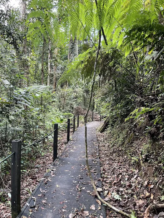 Hemmant Trail Picture 4