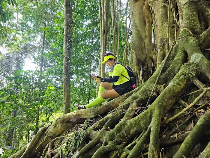 Bukit Takun Picture 2
