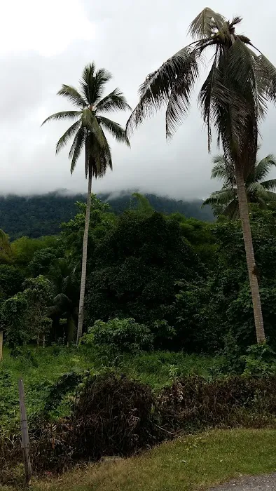 Masjid Kampung Chat Picture 9