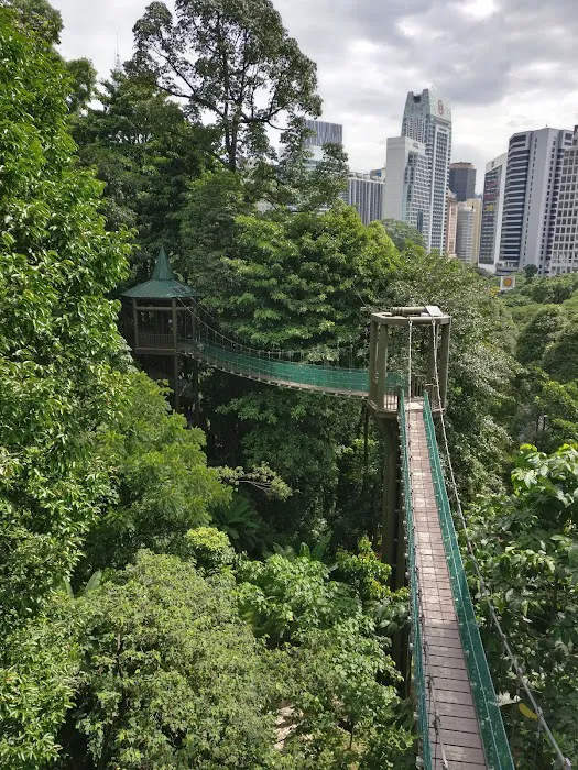 Bukit Nanas Forestry Information Centre Picture 9