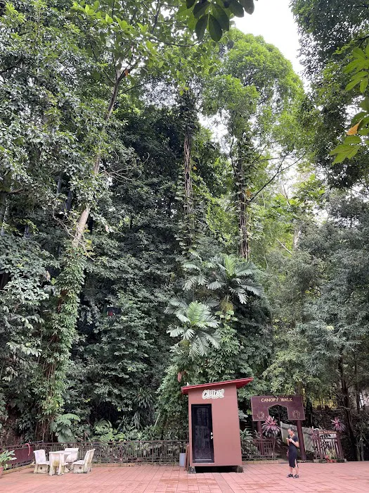 Bukit Nanas Forestry Information Centre Picture 3