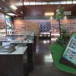 Bukit Nanas Forestry Information Centre