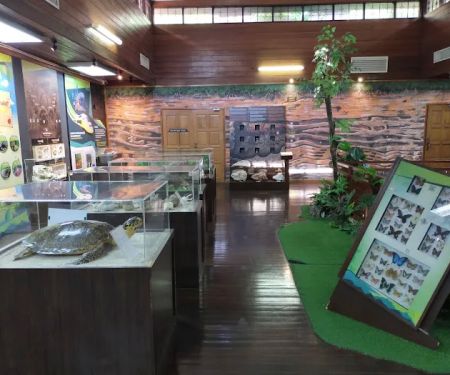 Bukit Nanas Forestry Information Centre