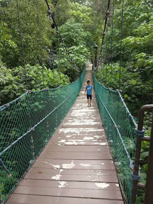 Bukit Nanas Forestry Information Centre Picture 8