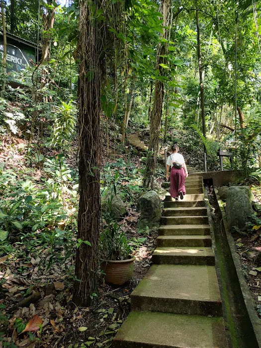 Bukit Nanas Forestry Information Centre Picture 10